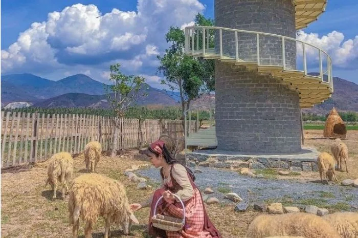 Tour Hang Rái Vĩnh Hy Nha Trang 