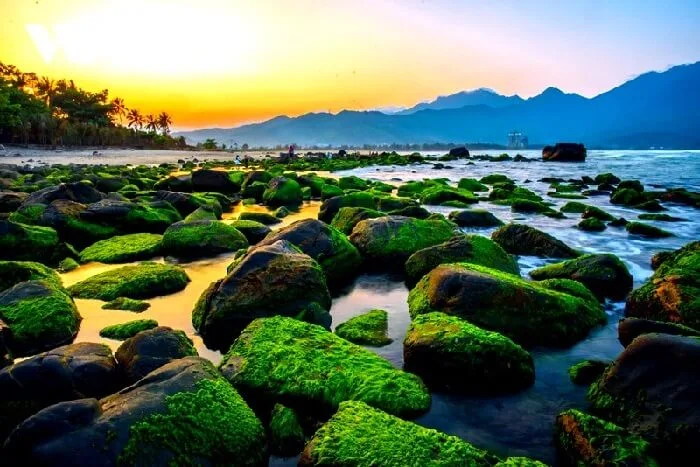 Bãi biển Nam Ô