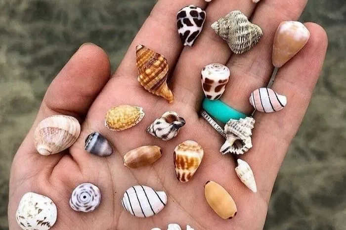 Bãi Rạng Đà Nẵng chơi gì