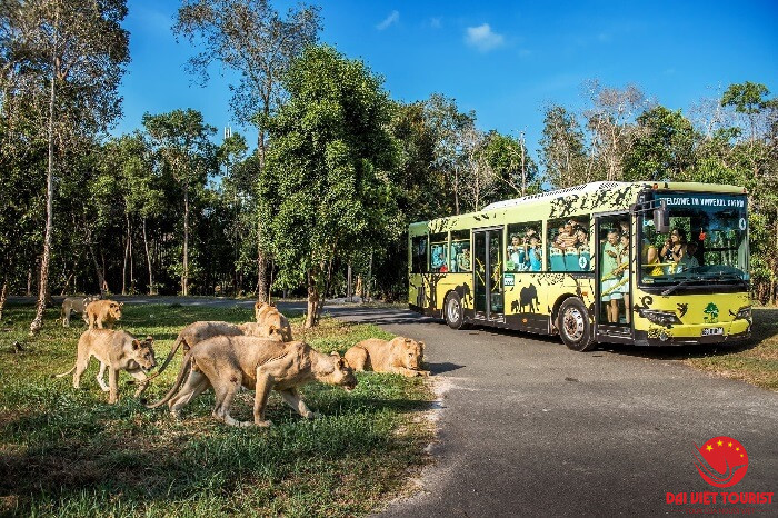 Tour Phú Quốc