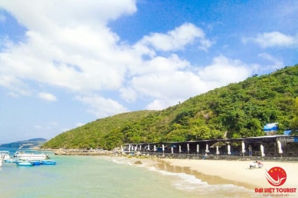 Đi vịnh San Hô Nha Trang – Khám phá hệ sinh vật biển đa dạng