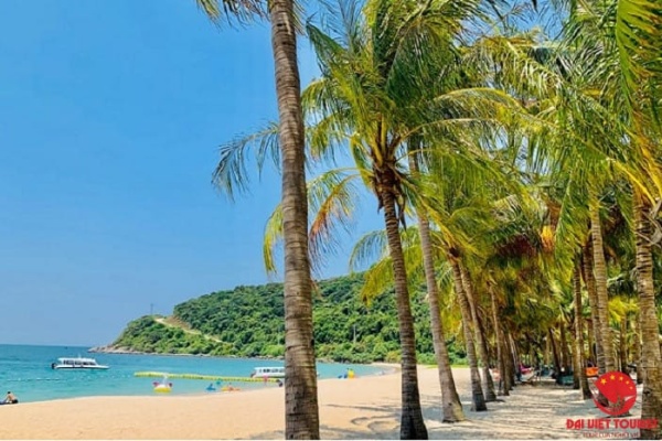 Review Bãi Ông Cù Lao Chàm ở đâu, có gì đáng trải nghiệm?