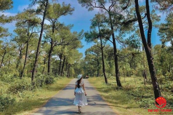 Du lịch đồi Thiên An Huế – Check in thiên nhiên mộng mơ