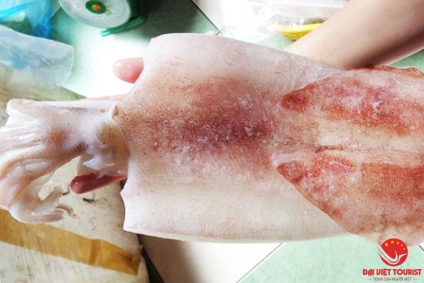 “Truy lùng” các điểm bán mực một nắng Nha Trang chất lượng