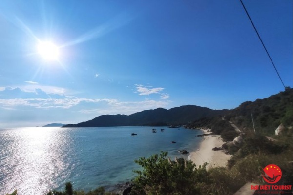 Nên đi Cù Lao chàm hay bán đảo Sơn Trà, nơi nào thú vị hơn?