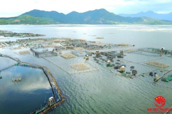 Đầm Cầu Hai Huế- Chiêm ngưỡng tuyệt tác của thiên nhiên