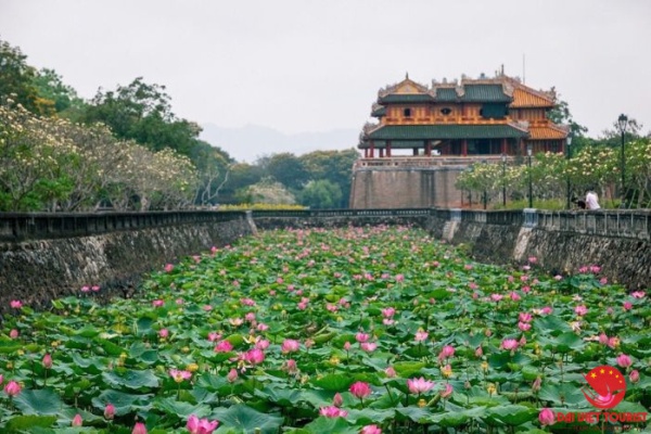 Hồ Tịnh Tâm Huế – Khám phá “vườn thượng uyển” cố đô