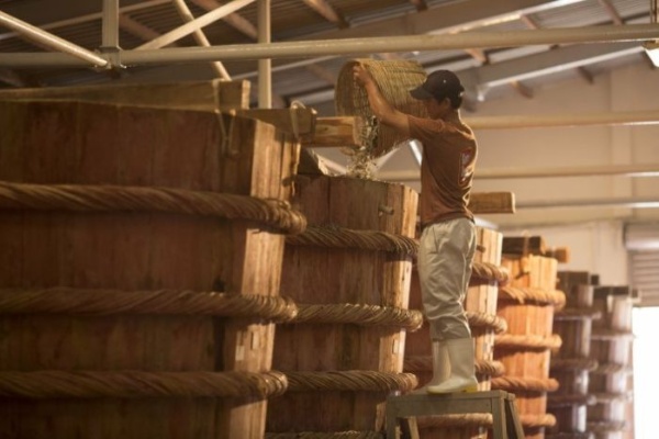 Tham quan các nhà thùng nước mắm Phú Quốc có gì đặc sắc?