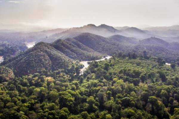 Vườn quốc gia Phú Quốc – Khám phá rừng nguyên sinh trên đảo ngọc
