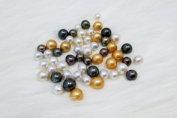 Ngọc trai Phú Quốc tham quan cơ sở nuôi cấy lớn nhất