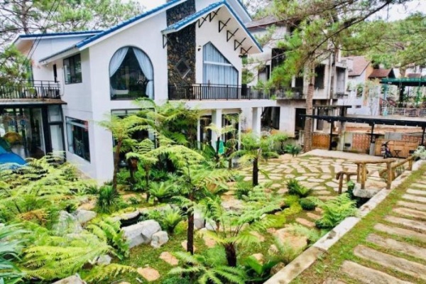 Top 10 Villa Măng Đen view đẹp nhất giá rẻ bạn nên chọn