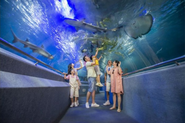 Thủy cung Nha Trang: Thế giới biển kỳ diệu ngay giữa thành phố