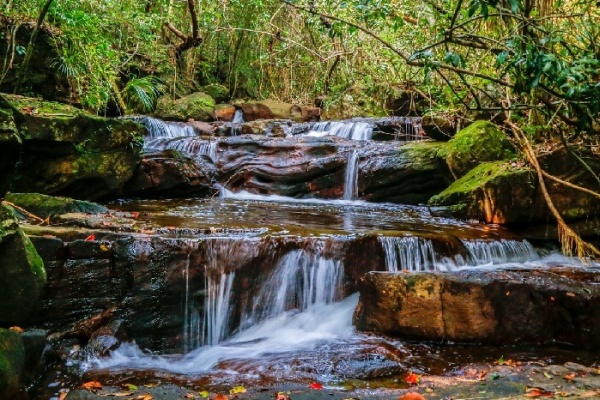 Top 6 suối Phú Quốc “đẹp quên lối về” điểm hẹn lý tưởng