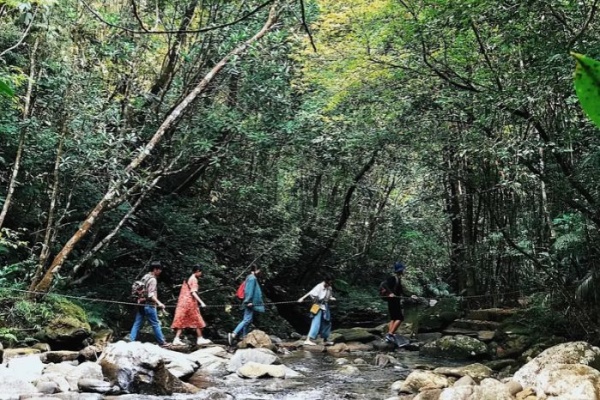 Leo núi Bạch Mã, Huế: Tuyến trekking, chuẩn bị và kinh nghiệm thực tế