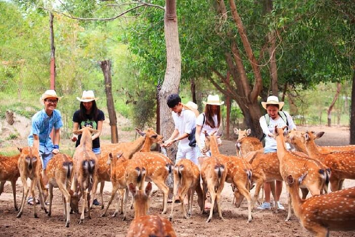 Tour đảo Khỉ suối đảo Nha Trang