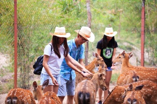 Tour đảo Khỉ suối đảo Nha Trang