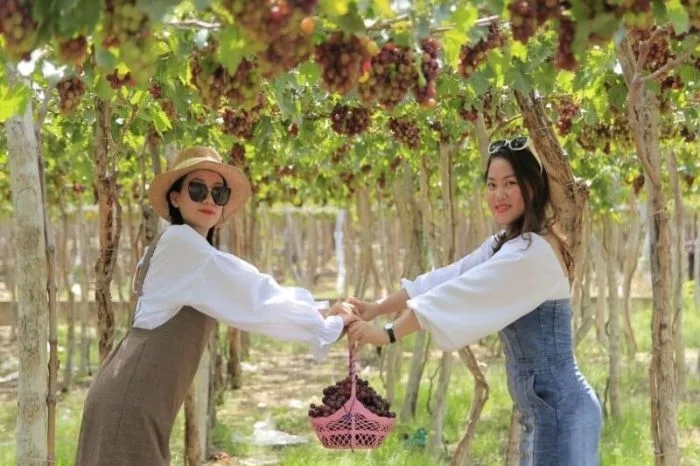 TOUR HANG RÁI VĨNH HY NHA TRANG