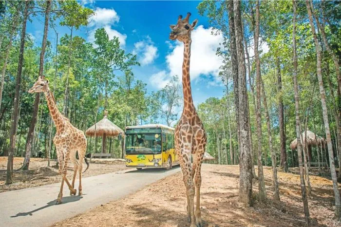 TOUR PHÚ QUỐC 5 NGÀY 4 ĐÊM