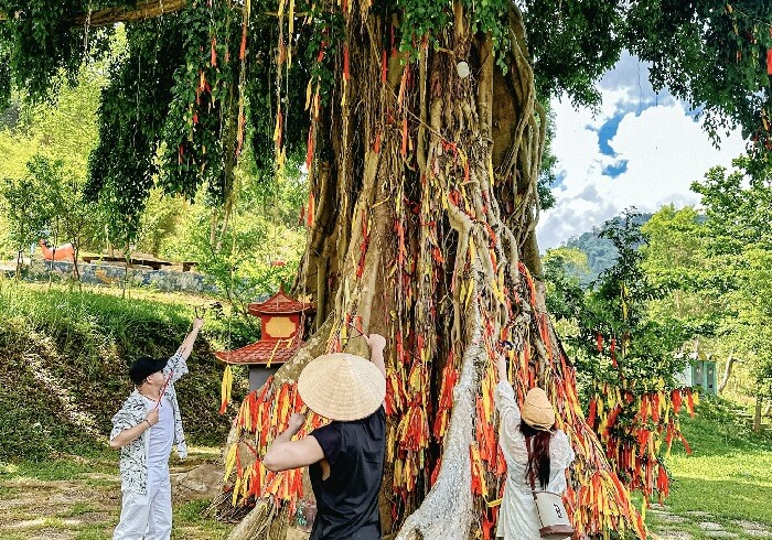 Tour thác Yangbay Nha Trang