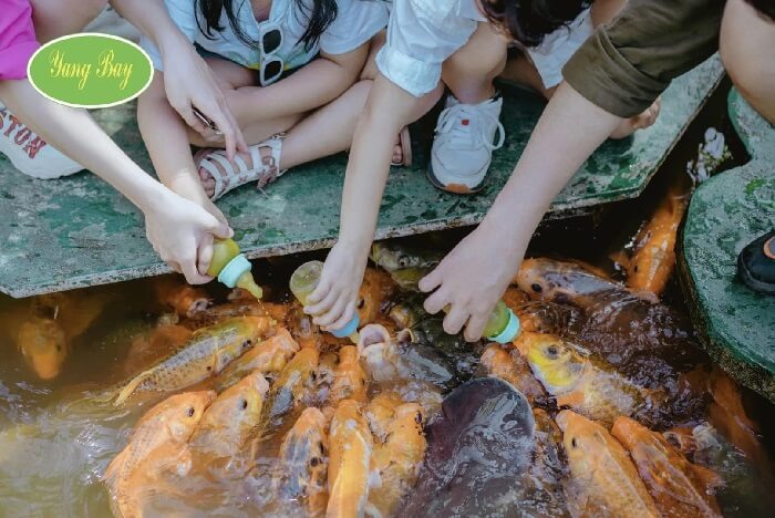 Tour thác Yangbay Nha Trang