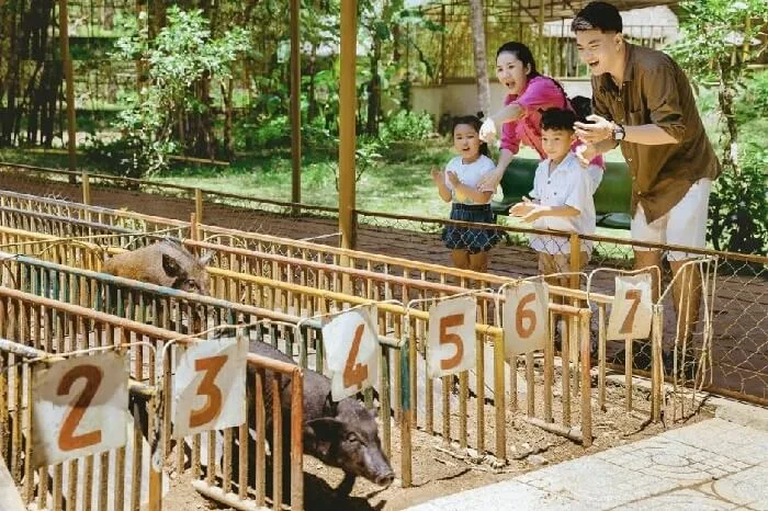 TOUR THÁC YANG BAY NHA TRANG