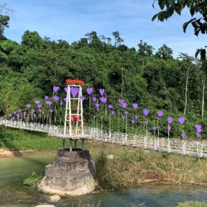 Tour thác Yangbay Nha Trang