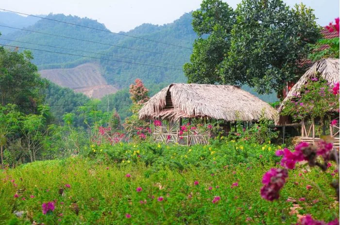 suối Hoa Đà Nẵng