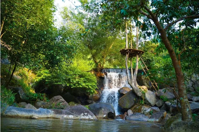suối Hoa Đà Nẵng