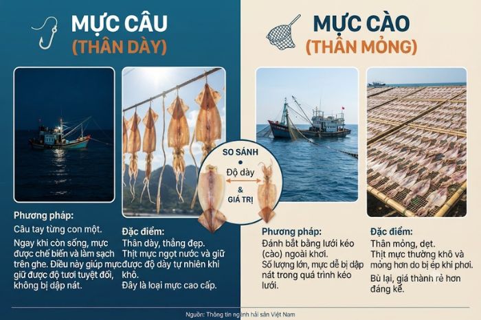 Mực khô Đà Nẵng