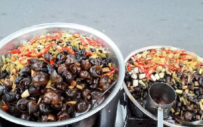 ốc hút Đà Nẵng