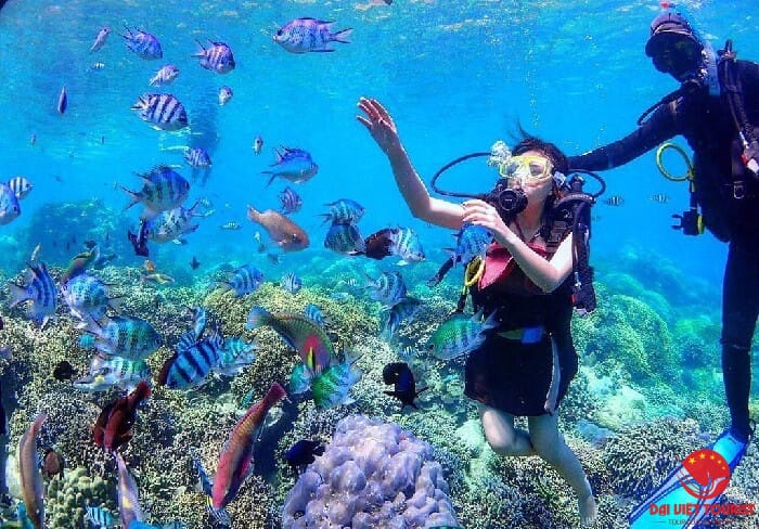 Hòn Mun Nha Trang