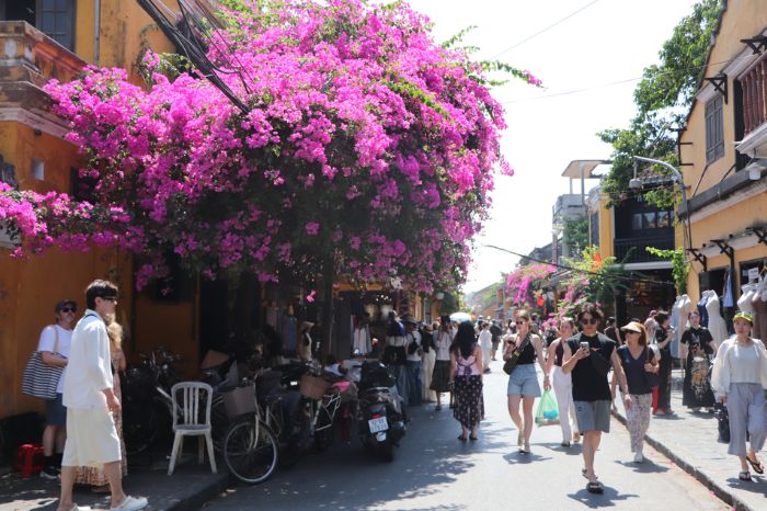 Kinh nghiệm du lịch Hội An