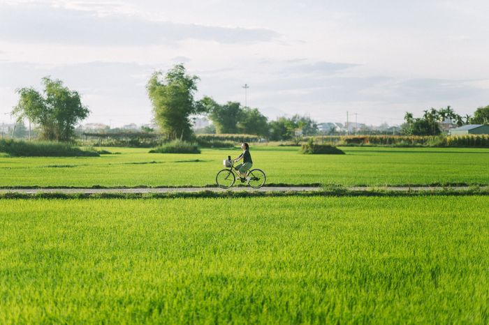 Cho thuê xe đạp Hội An