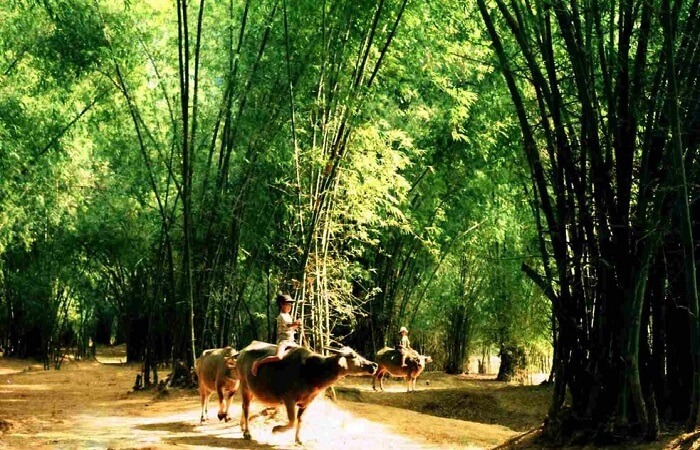 Làng cổ Phong Nam Đà Nẵng
