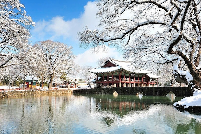 Du khách Đại Việt Tourist check-in Cung điện Gyeongbok biểu tượng lịch sử Hàn Quốc