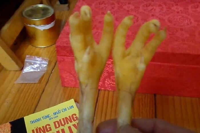 Địa chỉ xem bói Đà Nẵng