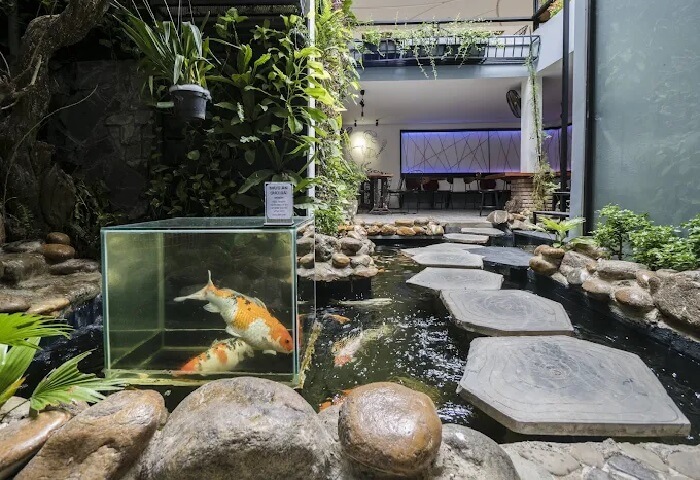 Quán cafe cá Koi Đà Nẵng