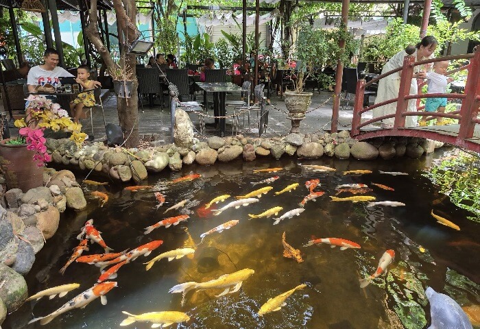 Quán cafe cá Koi Đà Nẵng