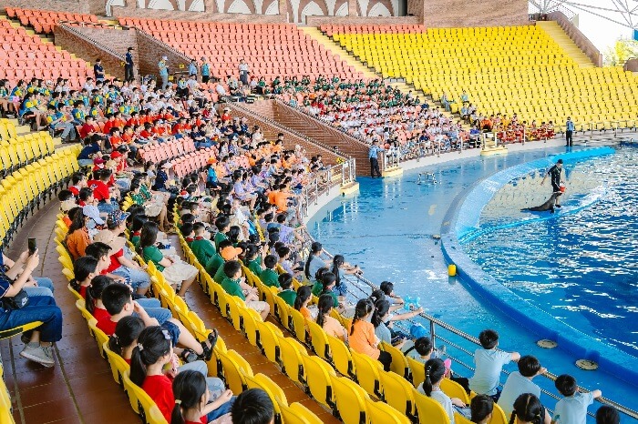Show diễn cá Heo Đà Nẵng