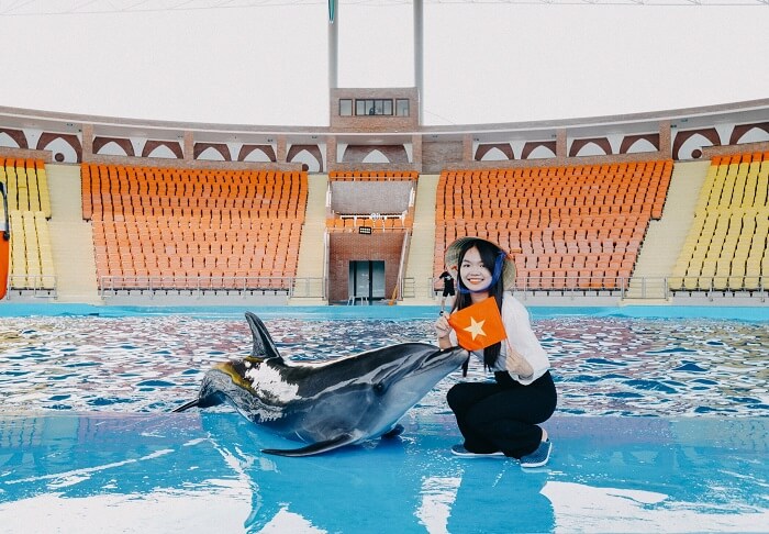 Show diễn cá Heo Đà Nẵng