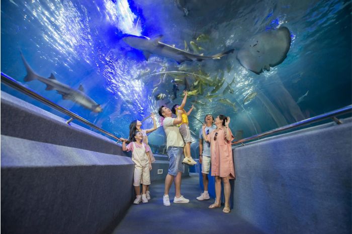 Thuỷ cung Nha Trang