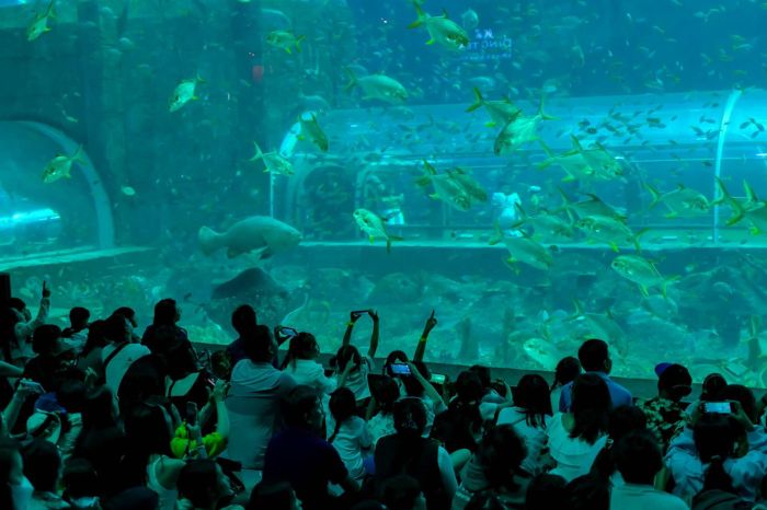 Thuỷ cung Nha Trang Vinpearl