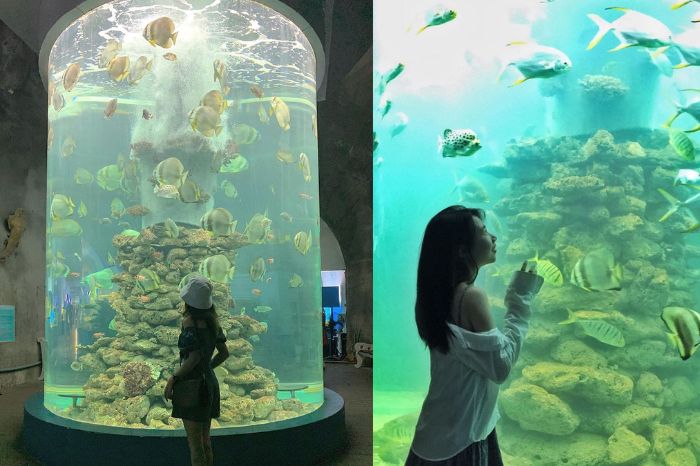 Thuỷ cung Nha Trang Viện Hải dương học
