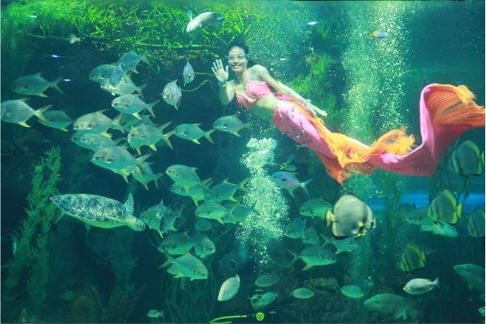 Thuỷ cung Nha Trang Vinpearl