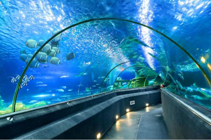 Thuỷ cung Nha Trang Vinpearl