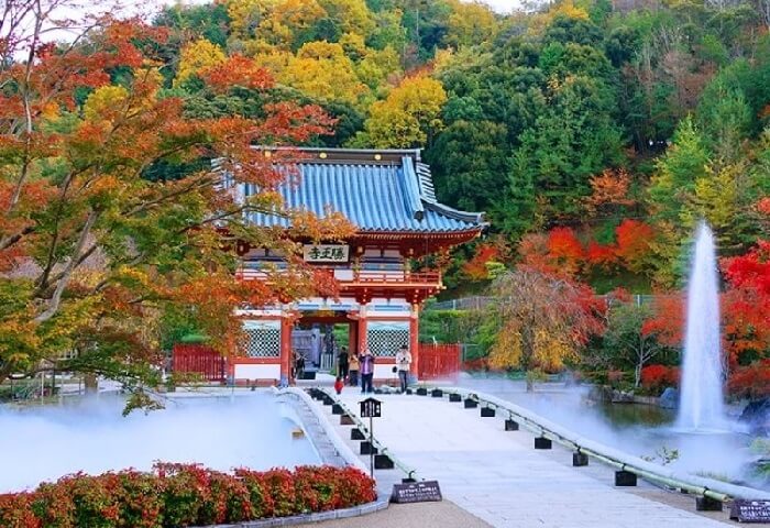 Tour Nhật Bản từ Đà Nẵng