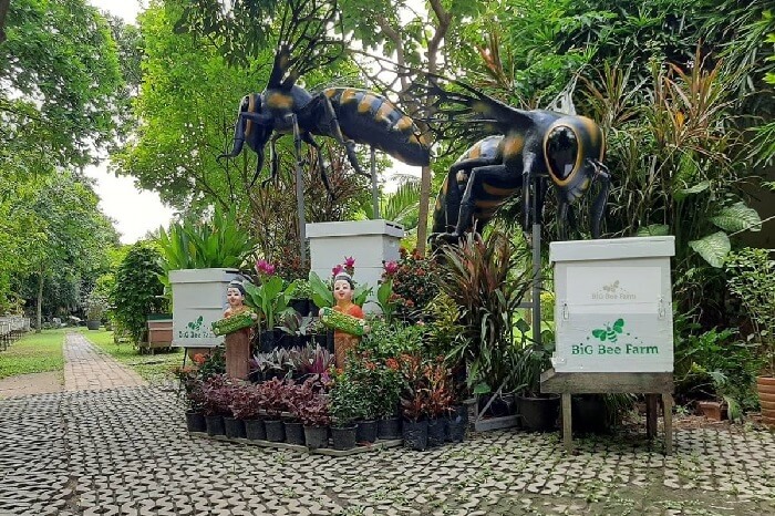 Tour Đà Nẵng Bangkok Pattay 5 ngày 4 đêm