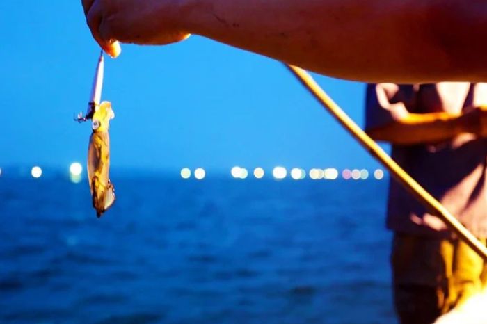 Đảo Robinson Nha Trang có trải nghiệm gì