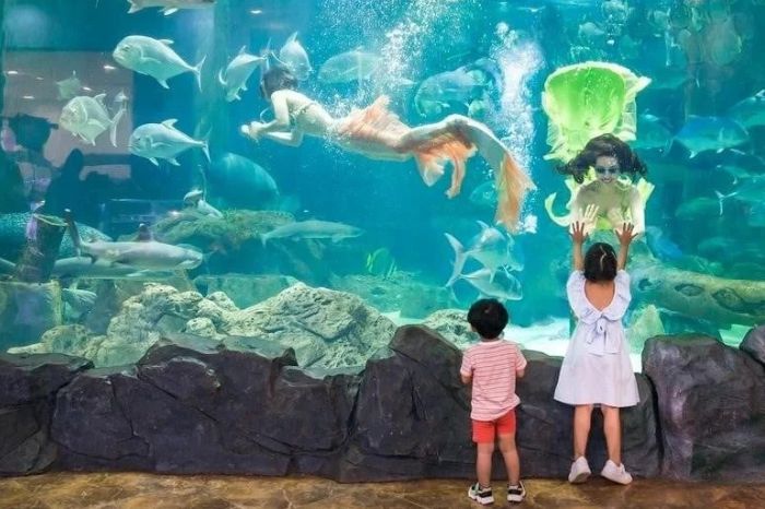 Thuỷ cung Vinwonders Phú Quốc