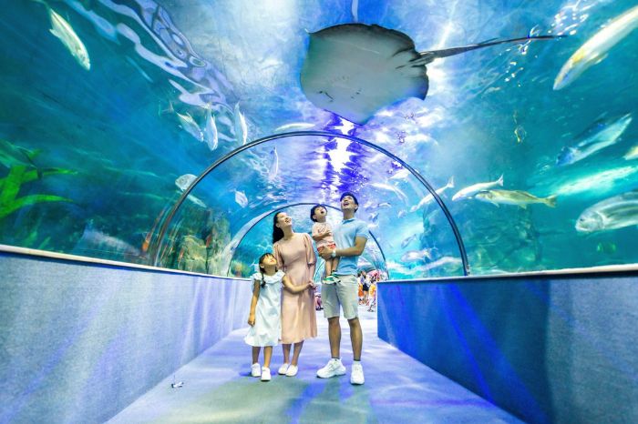 Thuỷ cung Vinwonders Phú Quốc có gì